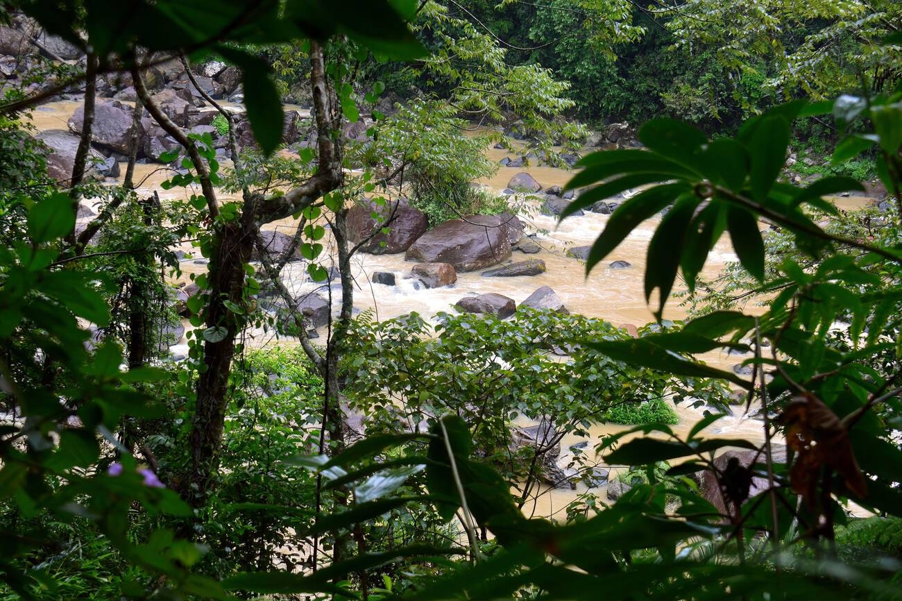 Nature